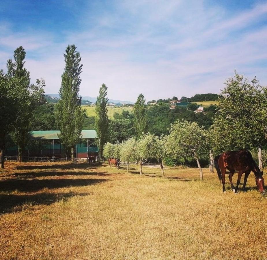 Il Nido Della Colombaia Panzió San Nicola Manfredi Kültér fotó